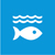 SDG Goal 14: Life below water