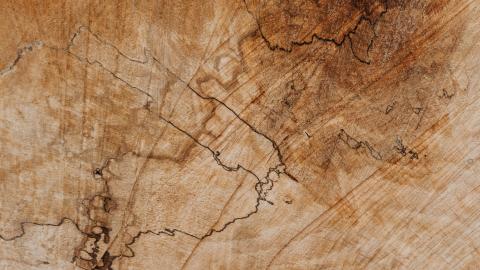 Fellowships offered background